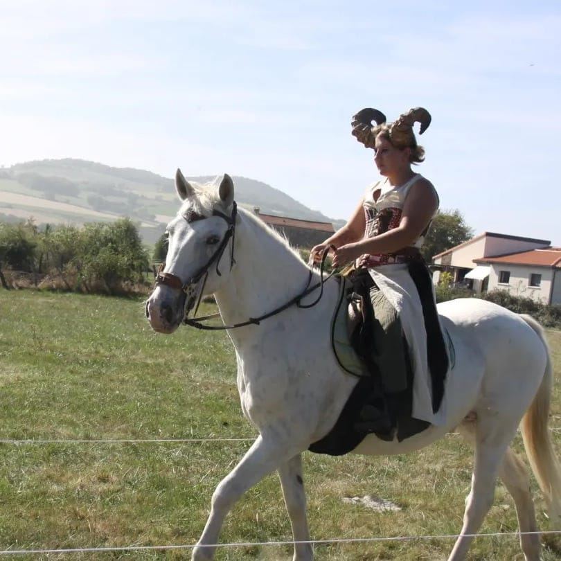 La bête à cornes